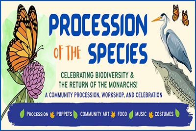 Procession of the Species